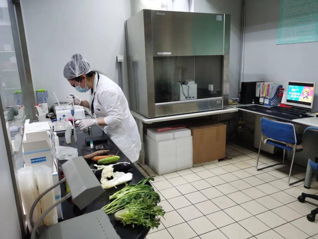 沙市食品检测实验室装修方案
